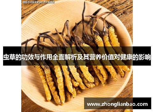 虫草的功效与作用全面解析及其营养价值对健康的影响