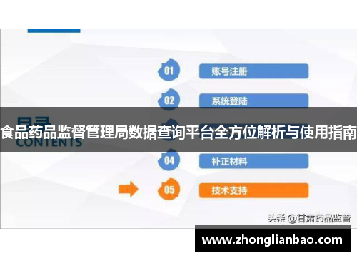 食品药品监督管理局数据查询平台全方位解析与使用指南